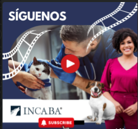 Síguenos en las redes y canal de INCABA